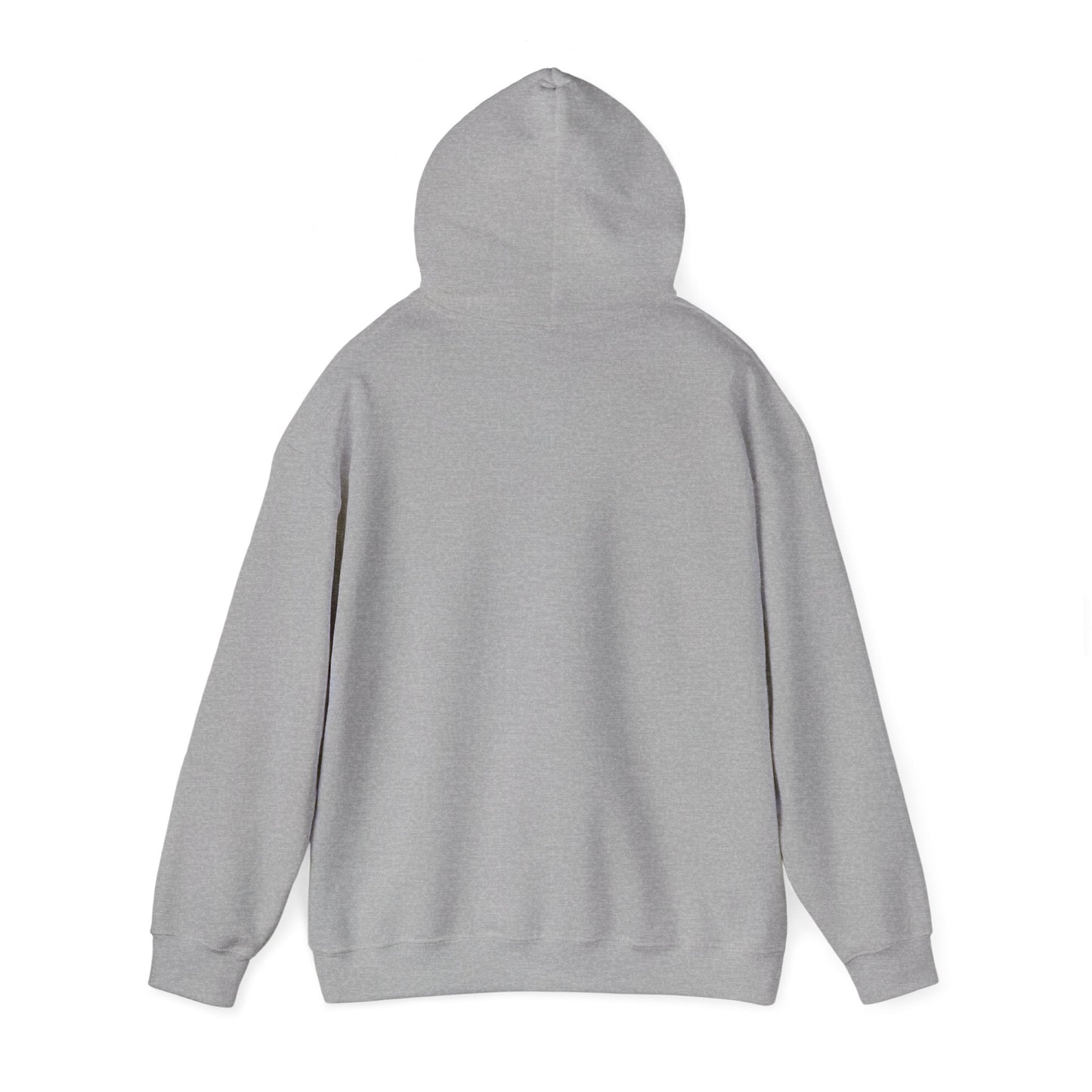 R.I.T. SQUAD™ Superhero Readers Adult Hoodie